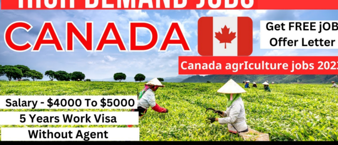 Unemployment Canada Unemployment Canada